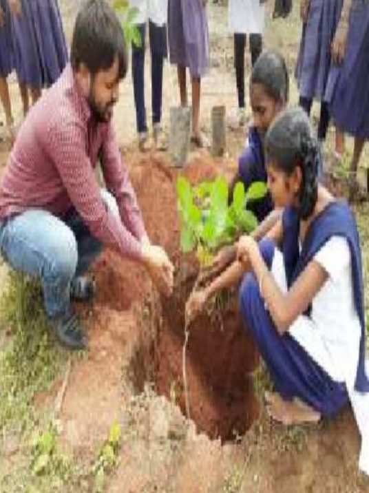 Tree Planting